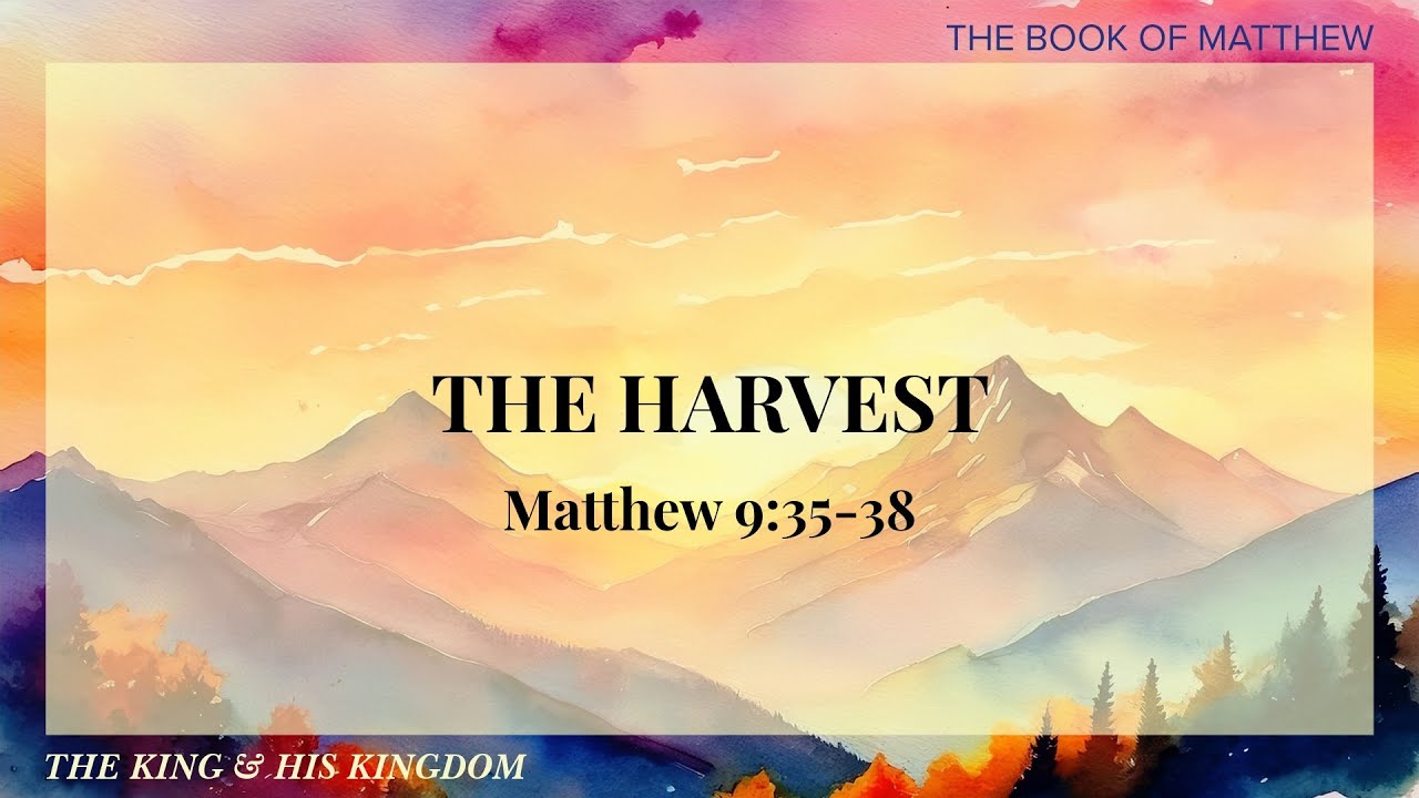 The Harvest | Stand Alone Sermon | Matthew 9:35-38 | Pastor Ben Fleming