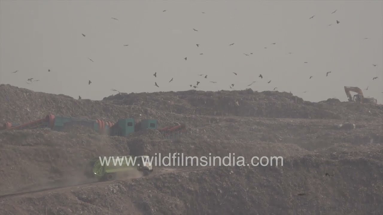 Ghazipur Landfill: Delhi's towering mountain of waste