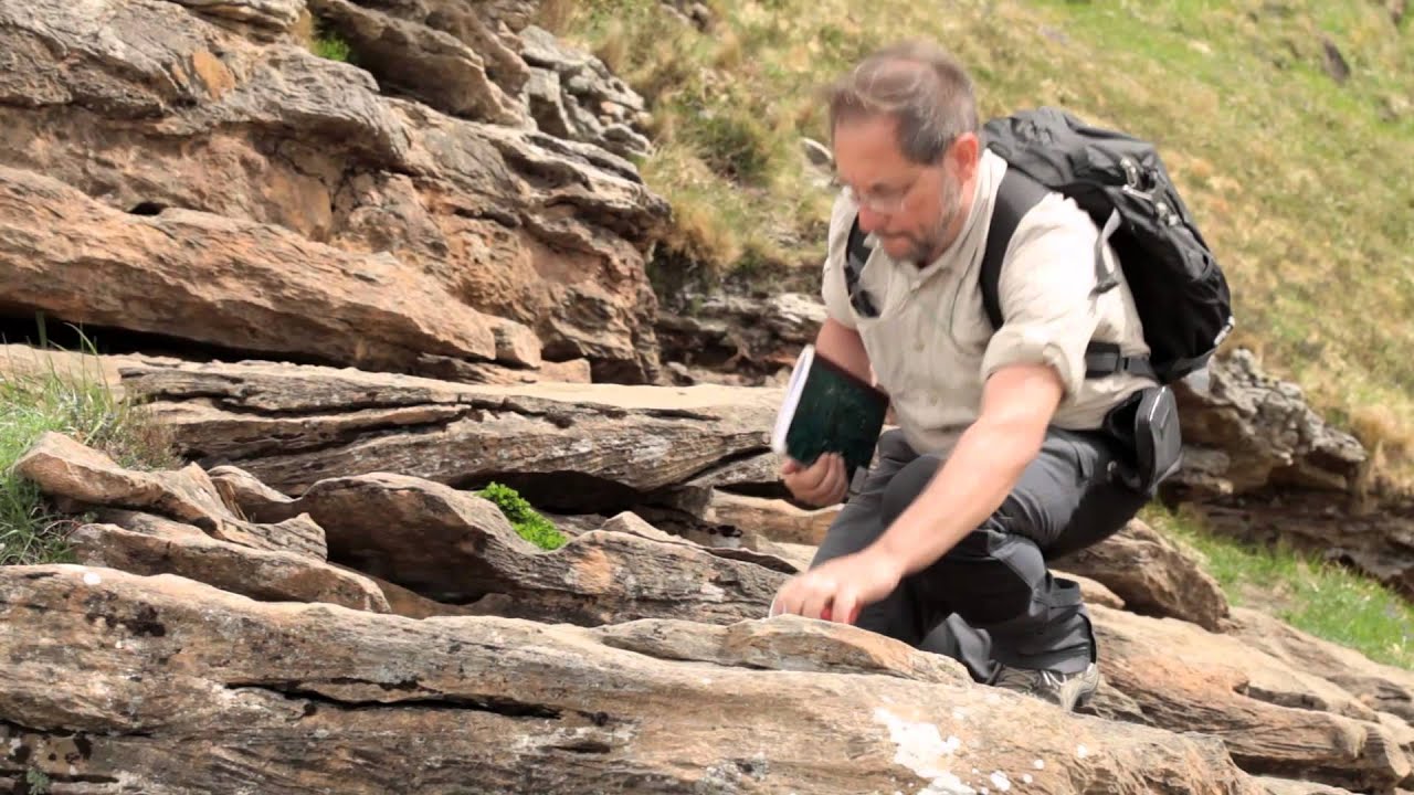 THE GEOLOGICAL MAP 