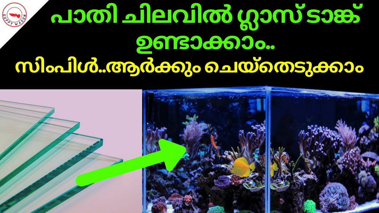 പാതി ചിലവിൽ ഗ്ലാസ് ടാങ്ക് ഉണ്ടാക്കാം|സിംപിൾ ആർക്കും ചെയ്തെടുക്കാം
