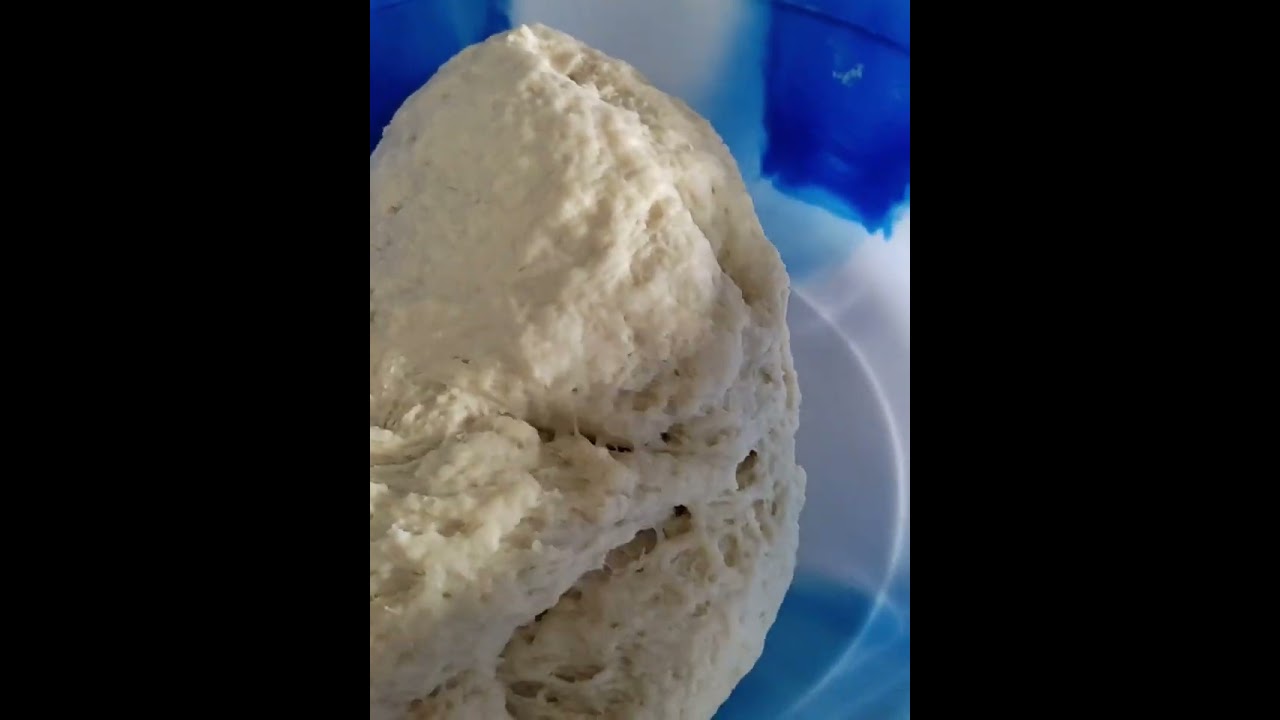 depois da reforma do fermento natural de batata venho ensinar a fazer. 🍞🍞