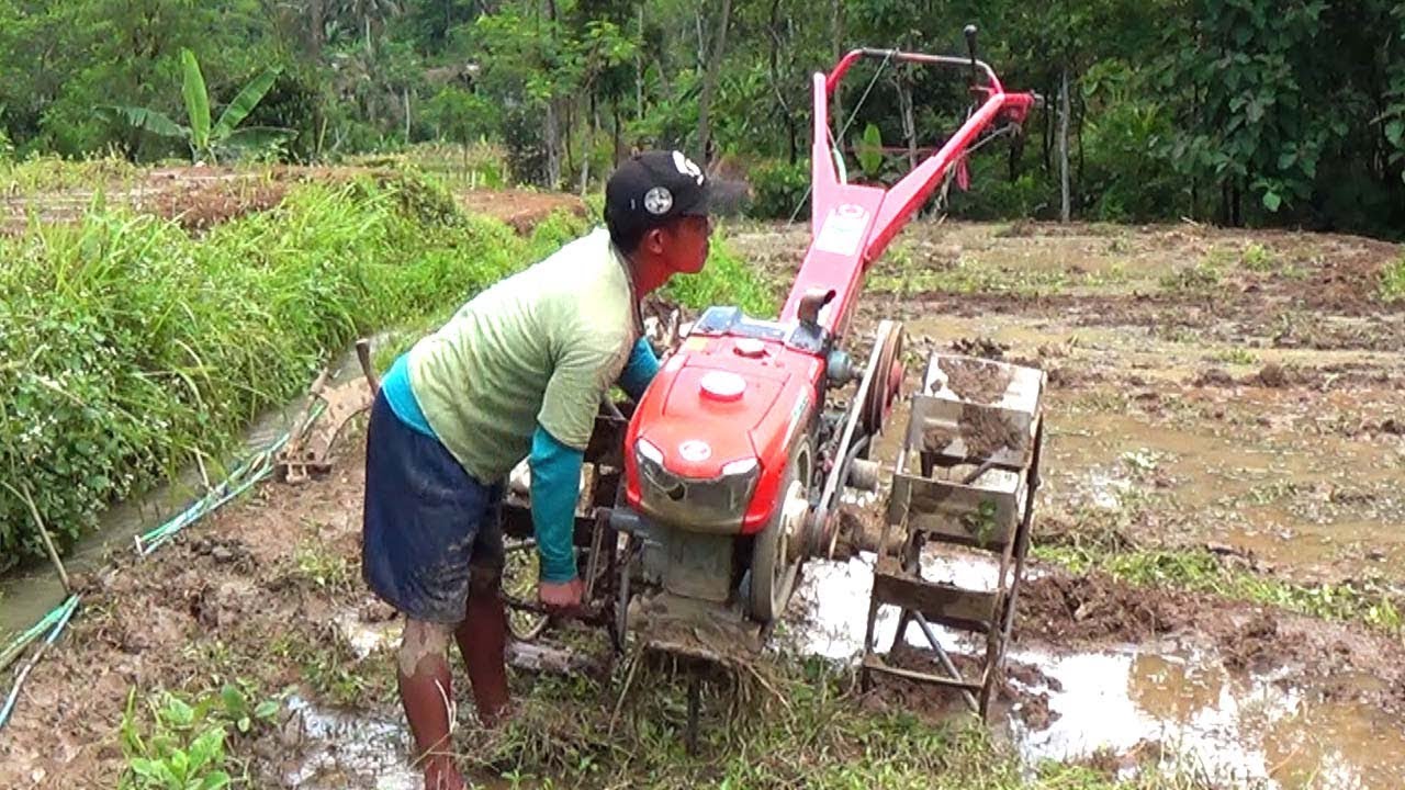 Traktor Sawah Membajak lahan Bekas Jagung