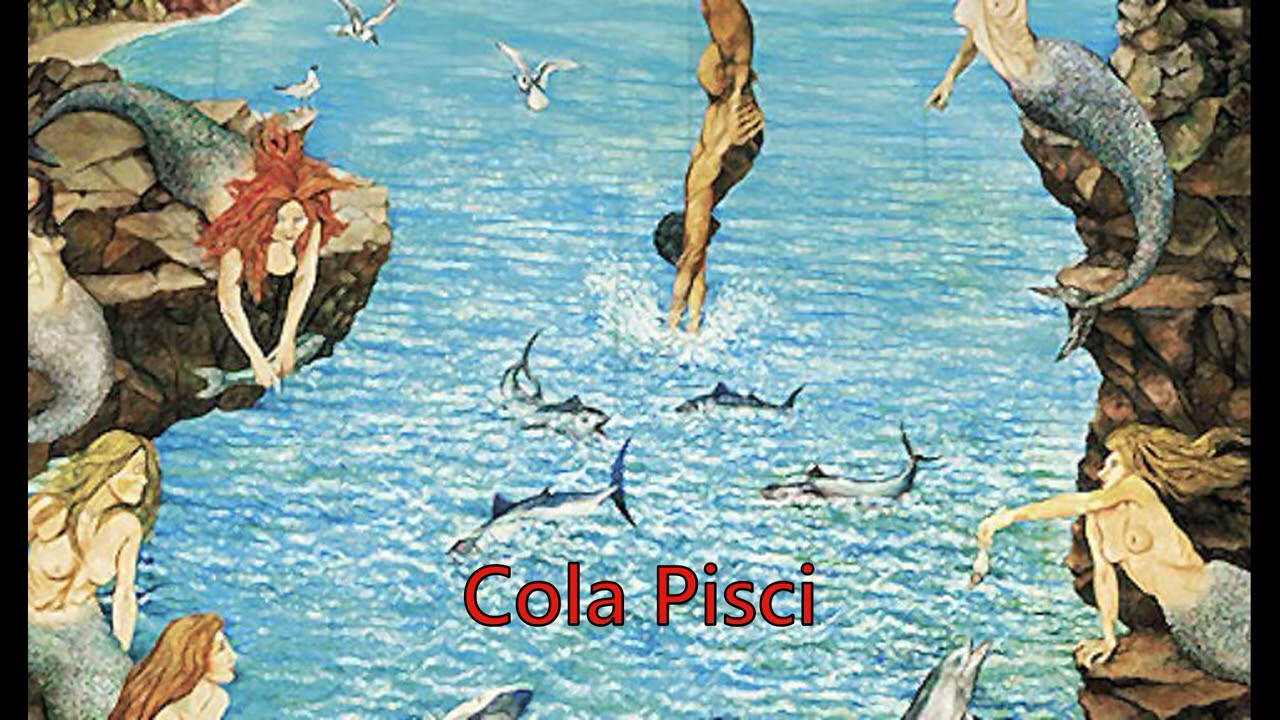 Cola Pisci