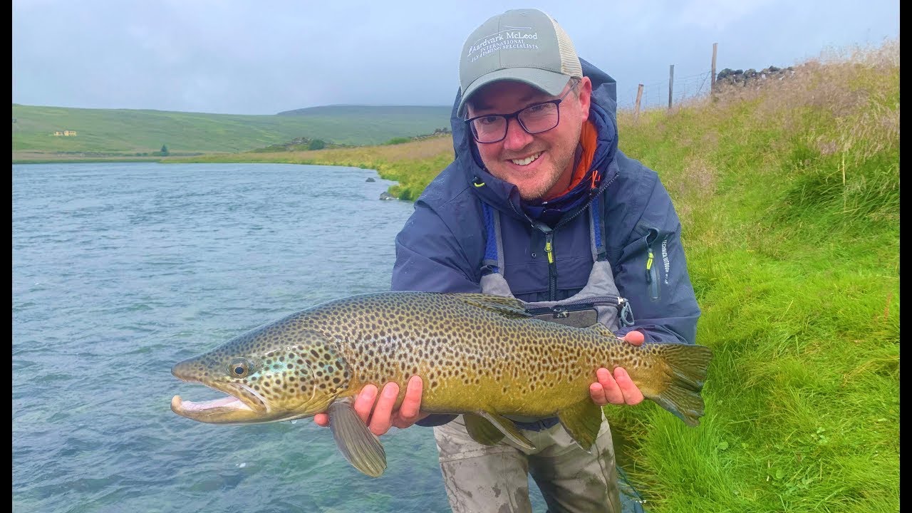 Trout Fishing Iceland - Big Fish on Dry Fly