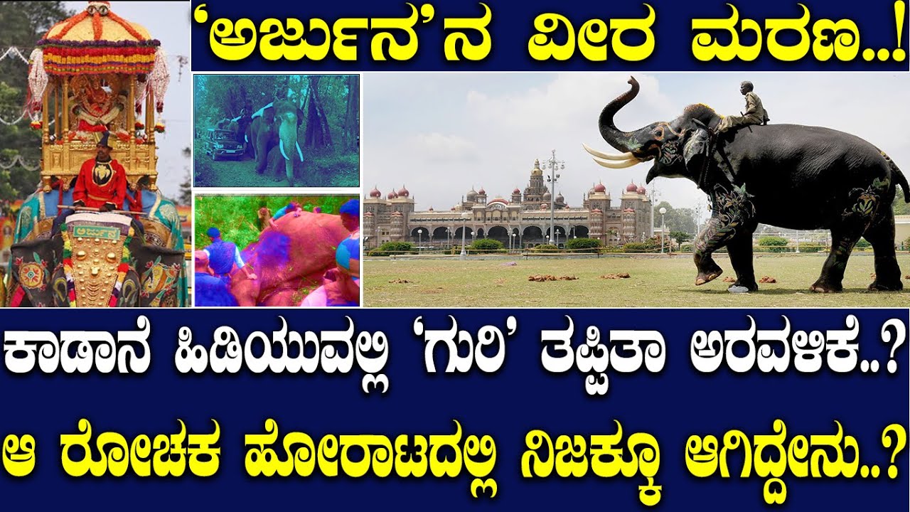'ಅರ್ಜುನ'ನ ವೀರ ಮರಣ..!ಕಾಡಾನೆ ಹಿಡಿಯುವಲ್ಲಿ 'ಗುರಿ' ತಪ್ಪಿತಾ ಅರವಳಿಕೆ.?ಆ ರೋಚಕ ಹೋರಾಟದಲ್ಲಿ ನಿಜಕ್ಕೂ ಆಗಿದ್ದೇನು.?