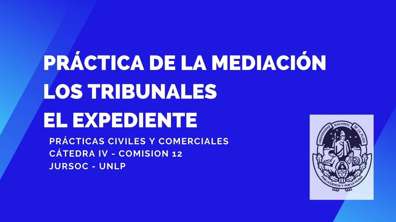 Práctica de la Mediación. Los Tribunales y el expediente