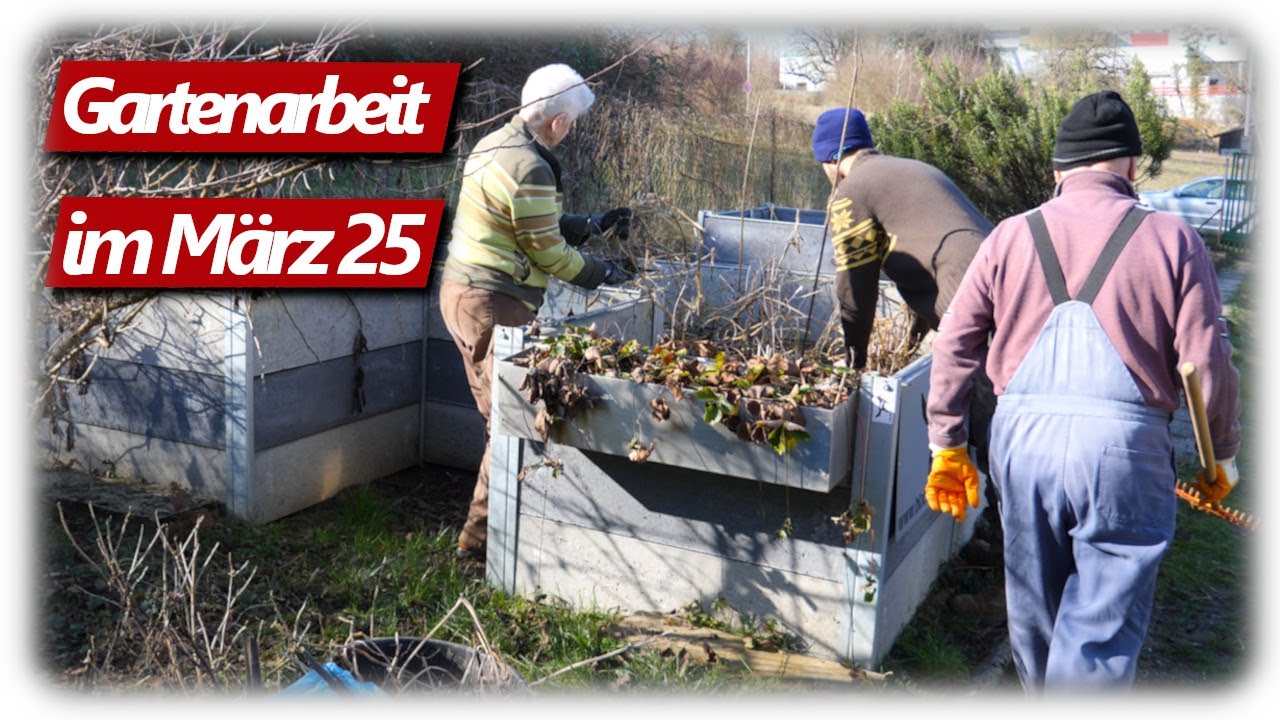 Gartenarbeit März | Hochbeete & Beerensträucher vorbereiten, Lavendelschnitt und mehr