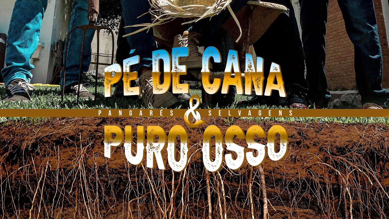 Pangarés Selvagens - Pé de Cana & Puro Osso (Clipe Oficial)