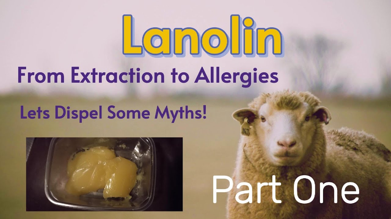 Lanolin - How to extract nature's own moisturiser from Raw Sheep's fleece Part 1