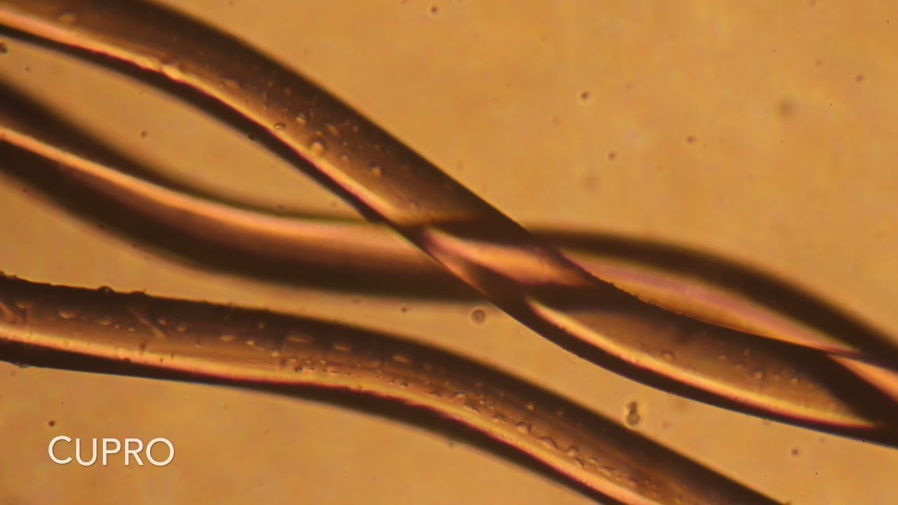 Osservazione delle fibre tessili al microscopio