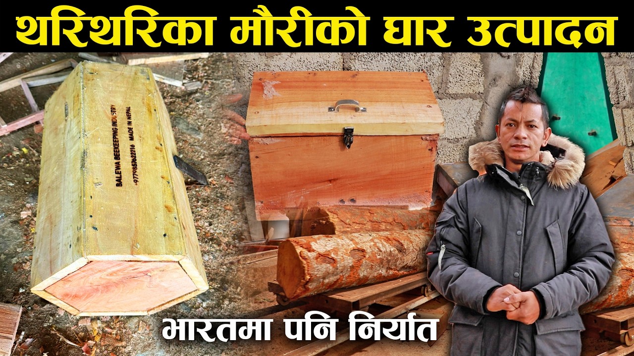 कोरियाबाट फर्केका जगत मौरीको घार उत्पादनमा व्यस्त,भारतमा पनि निर्यात