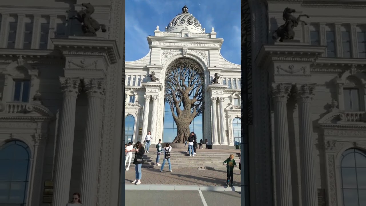 Tree in front of University Building