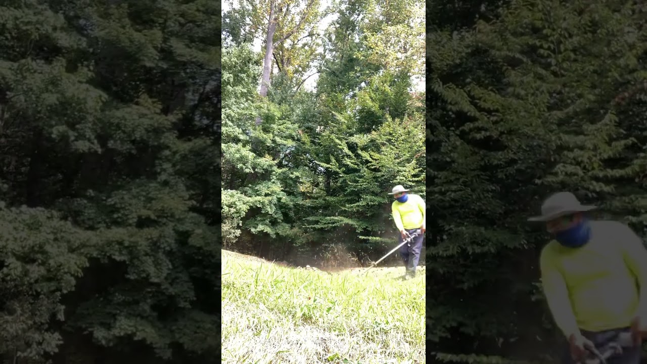 Echo SRM 3020T #weedeater #lawncare #mowing #gardening