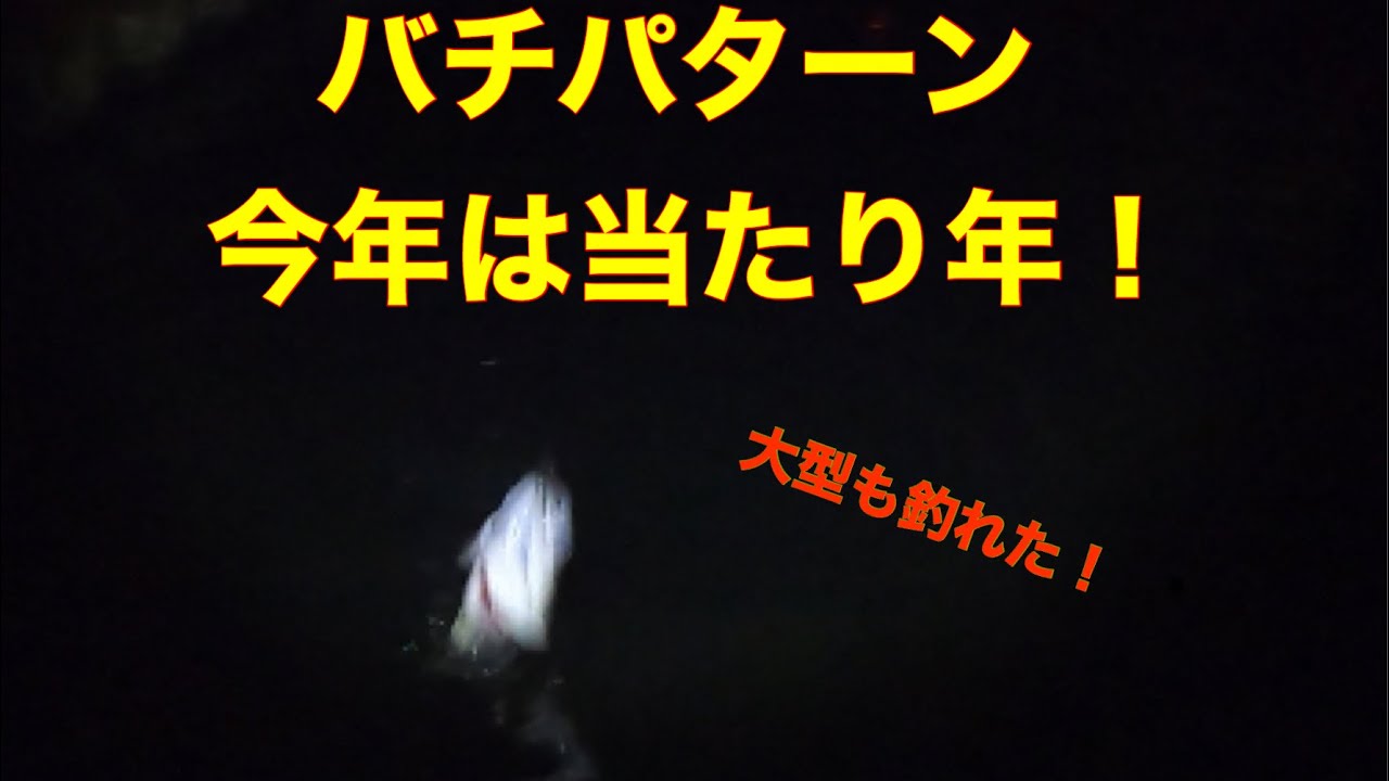 【シーバス】大型襲来！　2月上旬バチ抜けパターンをエリア10で攻略！①運河編