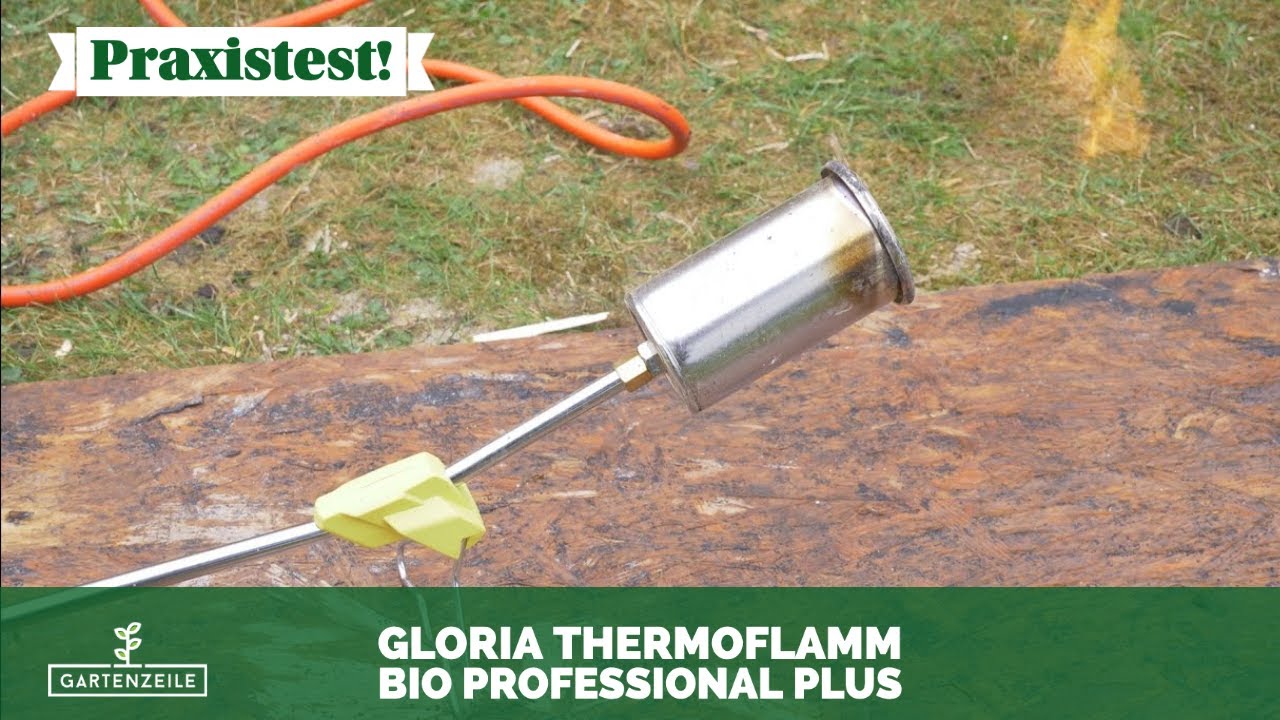 GLORIA Thermoflamm BIO Professional PLUS 🔥 Unser Fazit!