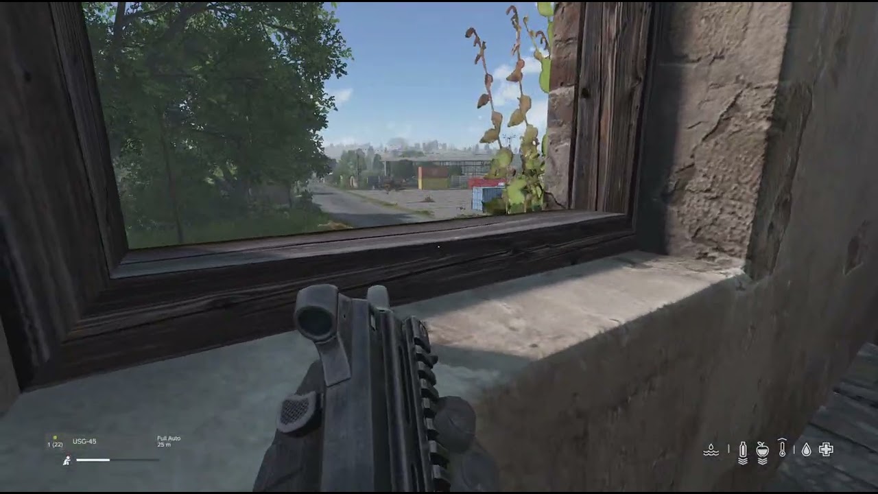 DayZ_20250608224940