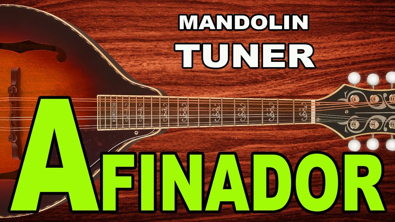 Afinador de Mandolina - AFINADOR DE MANDOLINA
