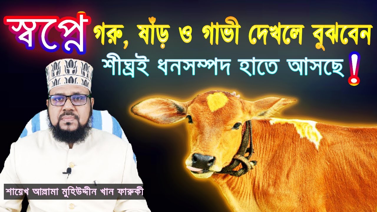 স্বপ্নে গরু, ষাঁড় ও গাভী দেখলে বুঝবেন, শীঘ্রই ধনসম্পদ হাতে আসছে। | See cows & bulls  in a dream.