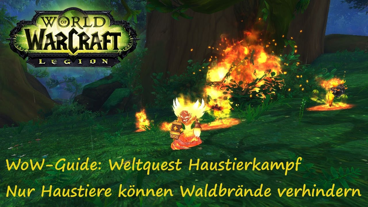 WoW-Guide: Weltquest Haustierkampf - Nur Haustiere k&ouml;nnen Waldbr&auml;nde verhindern - Feuerfragment