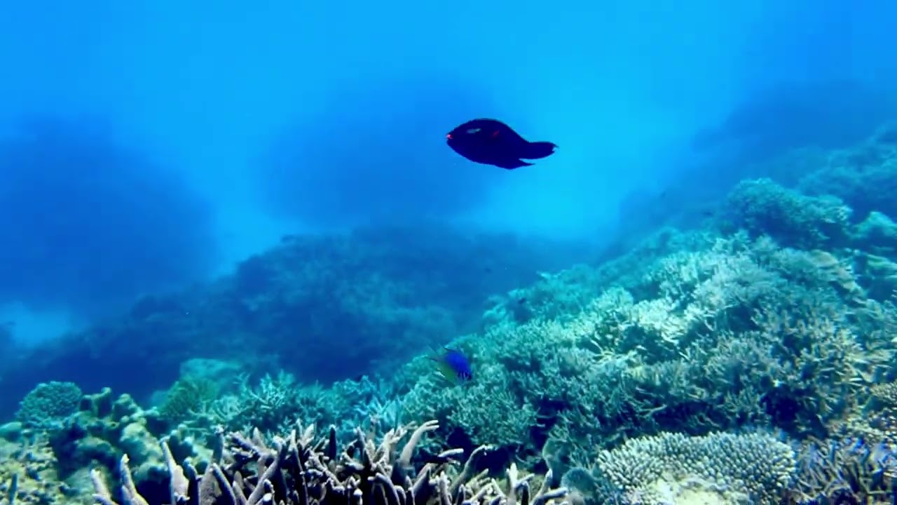 Diamonds Thudufushi, Raul Thila