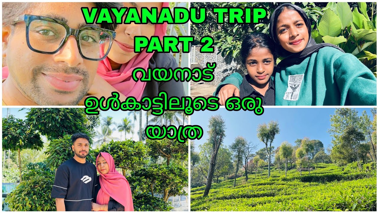 വയനാട് ഉൾ കാട്ടിലൂടെ ഒരു യാത്ര PARAT 2#yasar4u #youtube #vayanad #travel #resort 