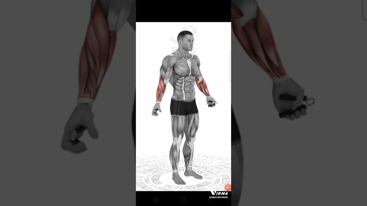 Flex&atilde;o hand grip