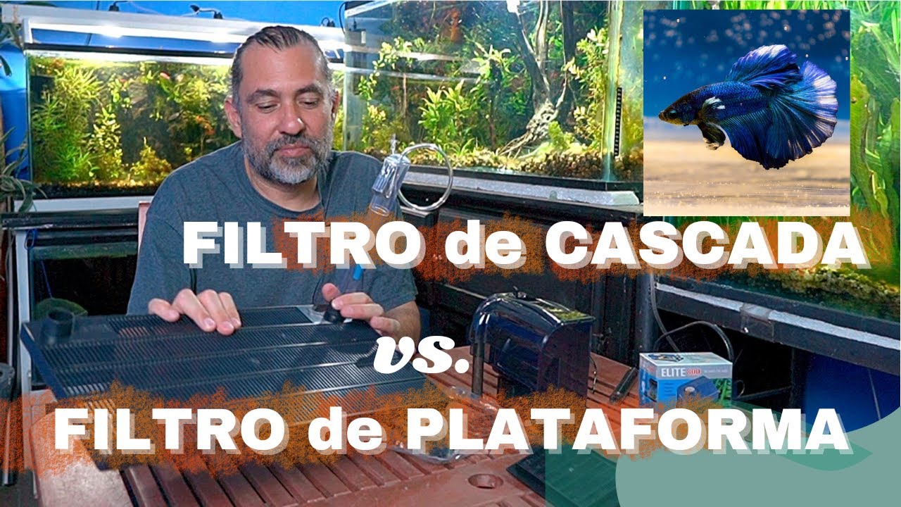 ¿FILTRO DE PLATAFORMA VS FILTRO DE CASCADA, CUAL NECESITAS?