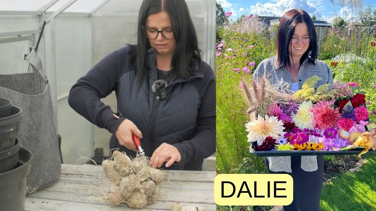 DALIE  ZRÓB TO, ŻEBY WCZEŚNIEJ KWITŁY