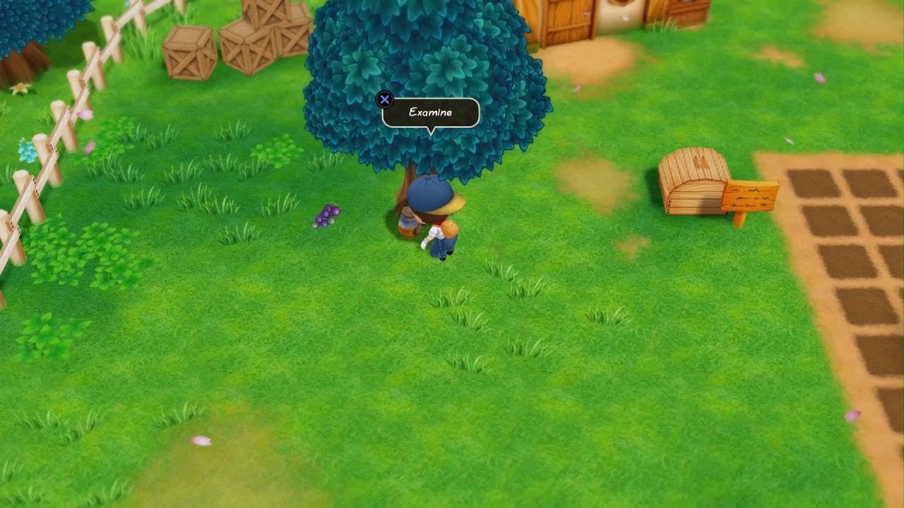 STORY OF SEASONS: Friends of Mineral Town Odc.2 Więcej warzyw / Pomoc Przy farmie 