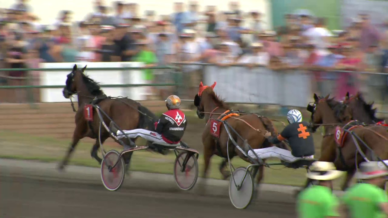 Ren 6 Waregem Koerse 2019: Grote Prijs stad Waregem (draf)