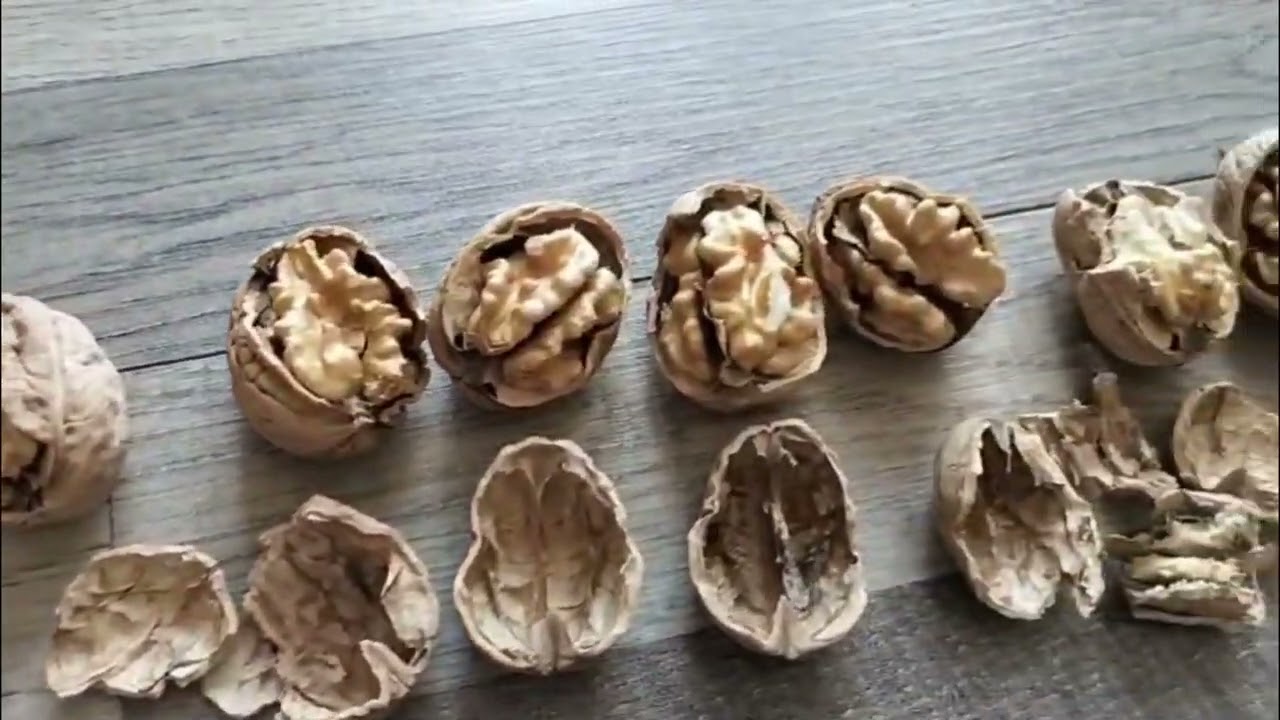 Selezionatrice a Raggi-x per noci intere (e per tutta la frutta secca in guscio o sgusciata)