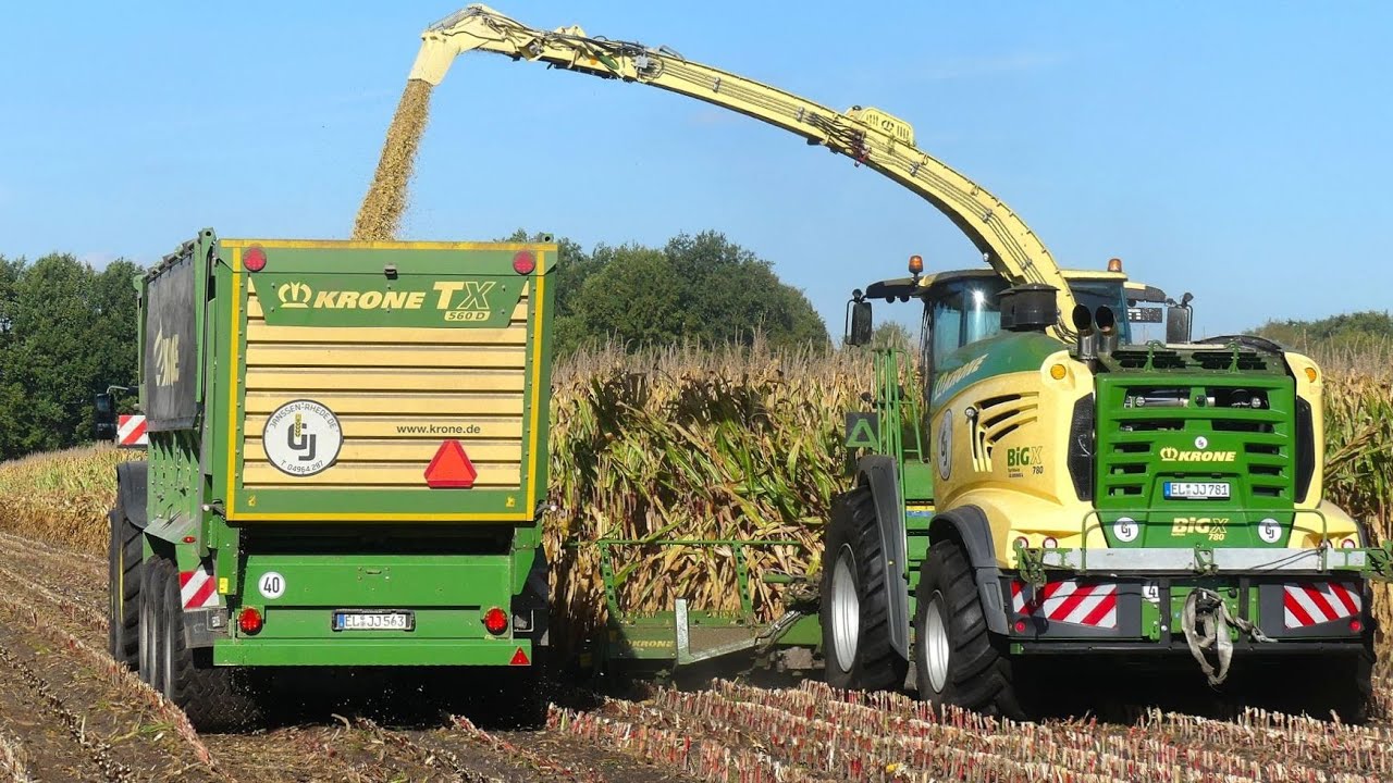 Mais hakselen met de nieuwe Krone BiG X 780. Janssen KG Rhede/Ems.