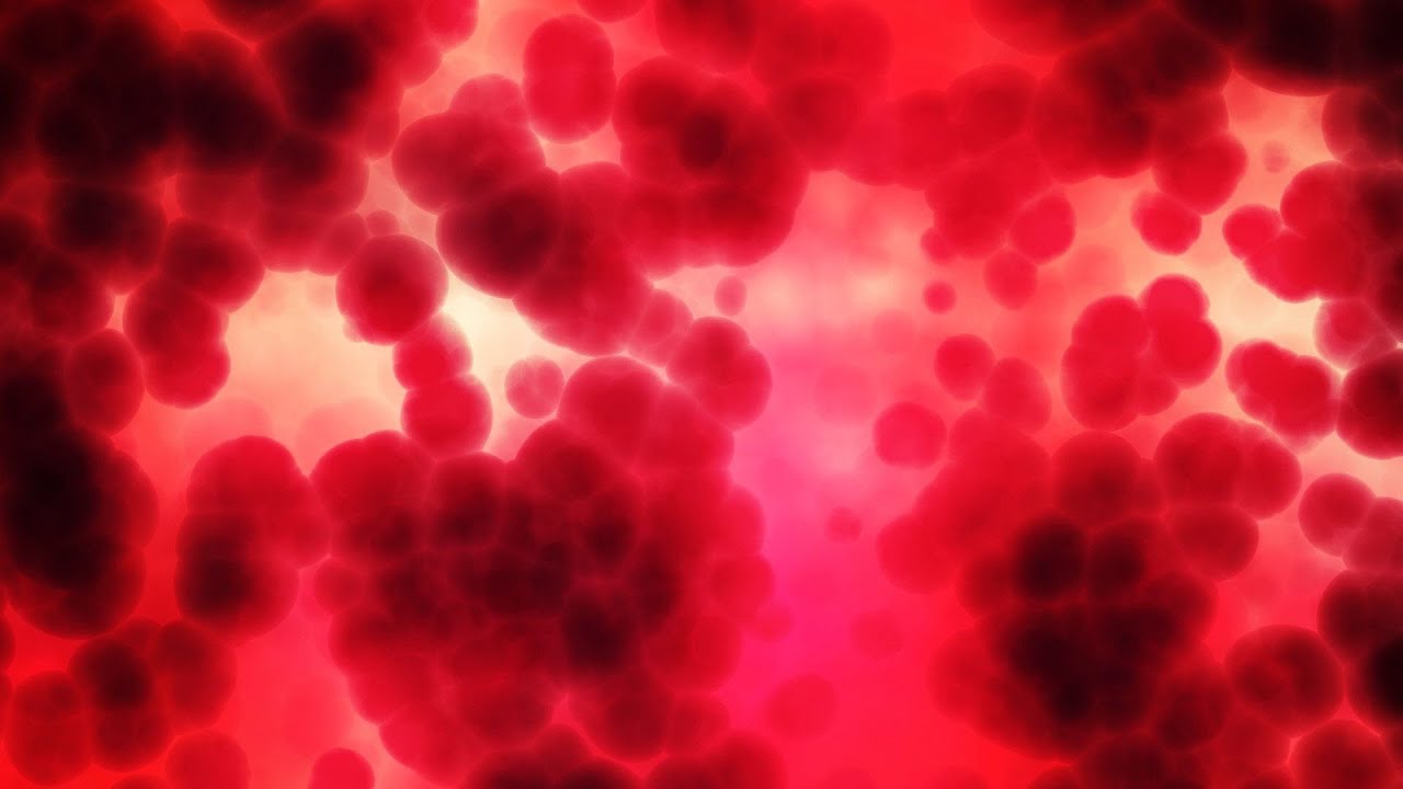 Na rubu znanosti: Krvne grupe i fiziologija