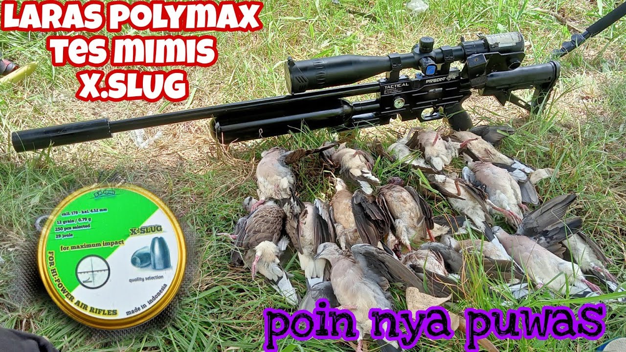 LARAS POLYMAX TES MIMIS  X.SLUG 12 GRAN / 0.79 G #test