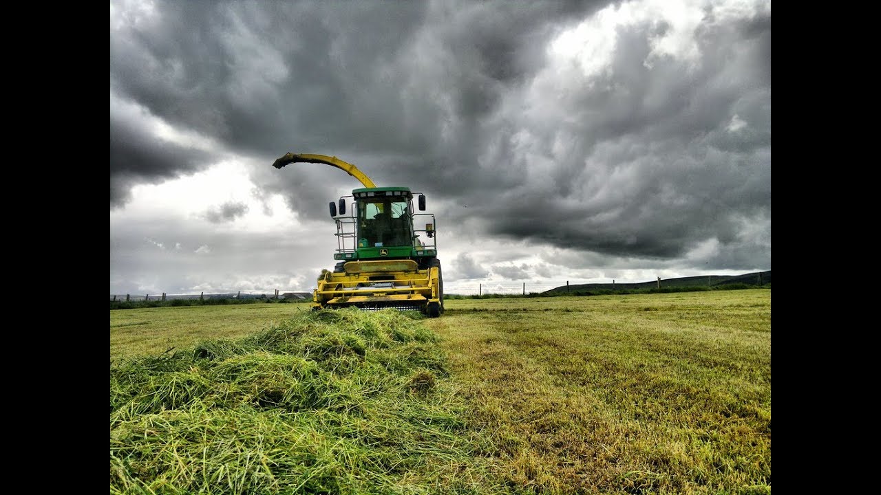 Silage 2K19