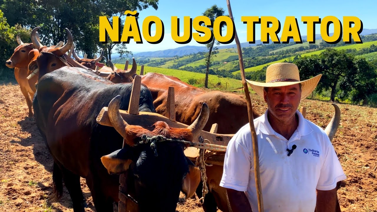 AQUI TODO SERVIÇO É FEITO COM MEUS BOIS