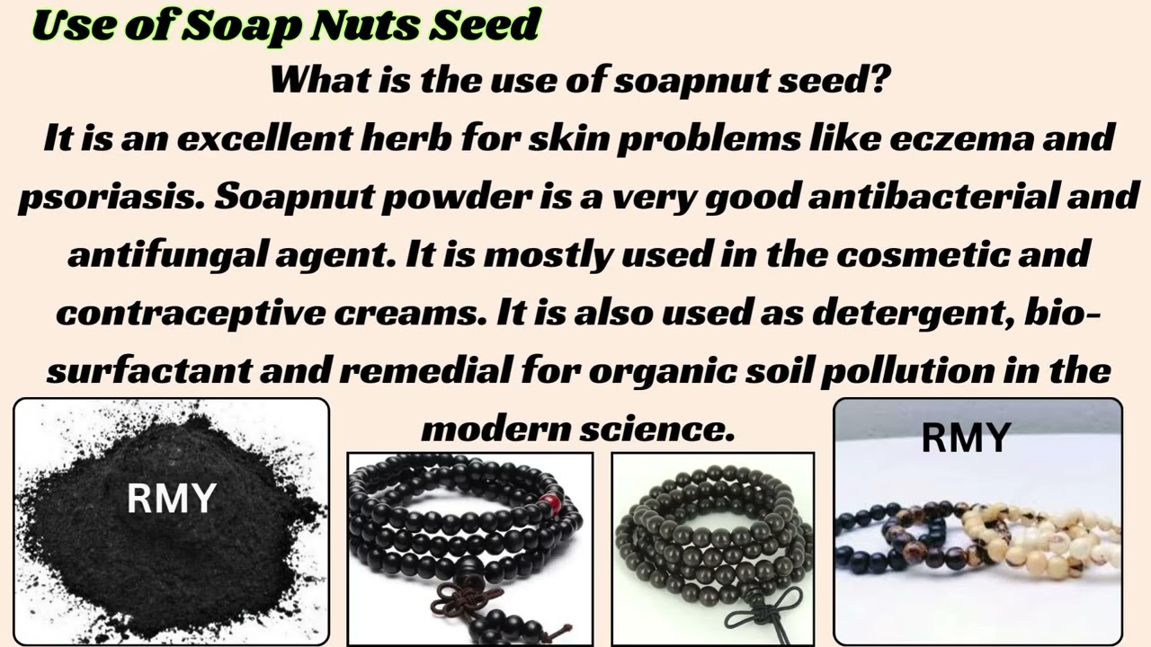 RMY Soap Nuts Seeds Powder Uses Benefits