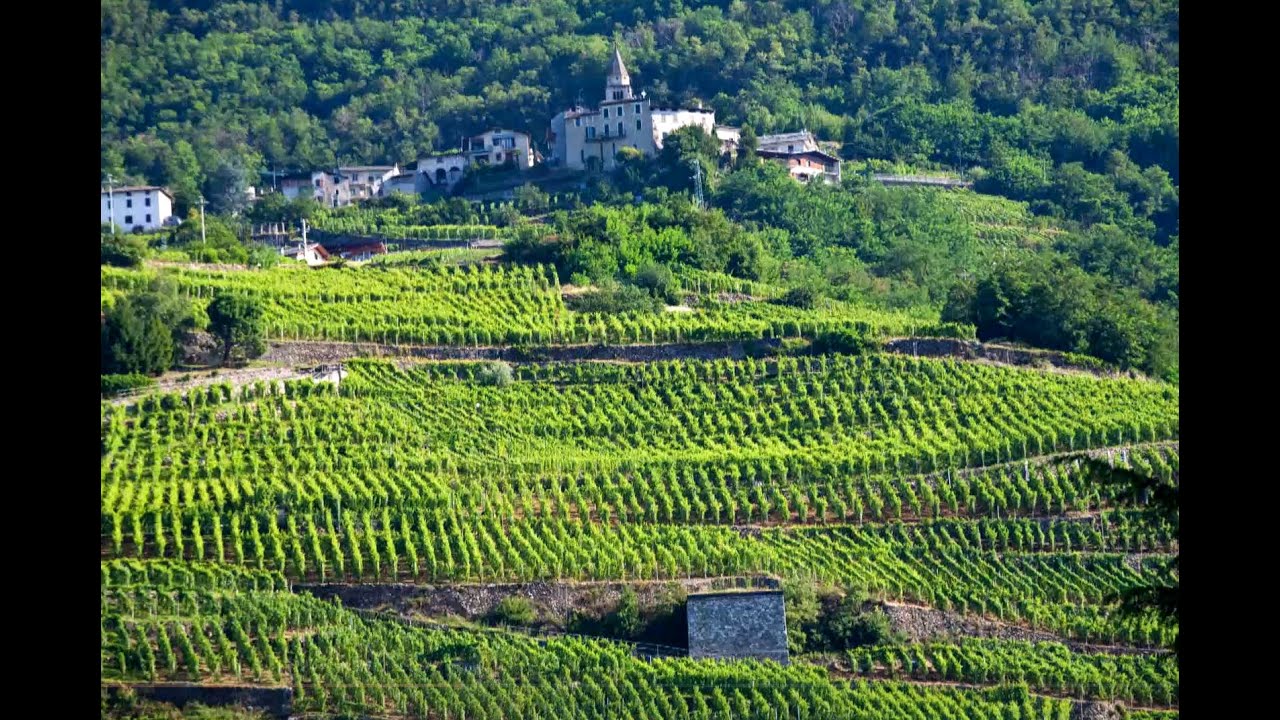 Intervista a Mamete Prevostini, dell'omonima cantina valtellinese