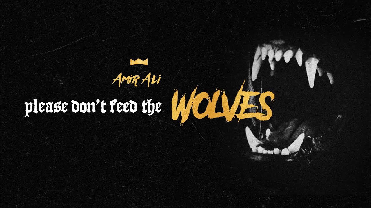 PLEASE DONT FEED THE WOLVES [Official Music Video]