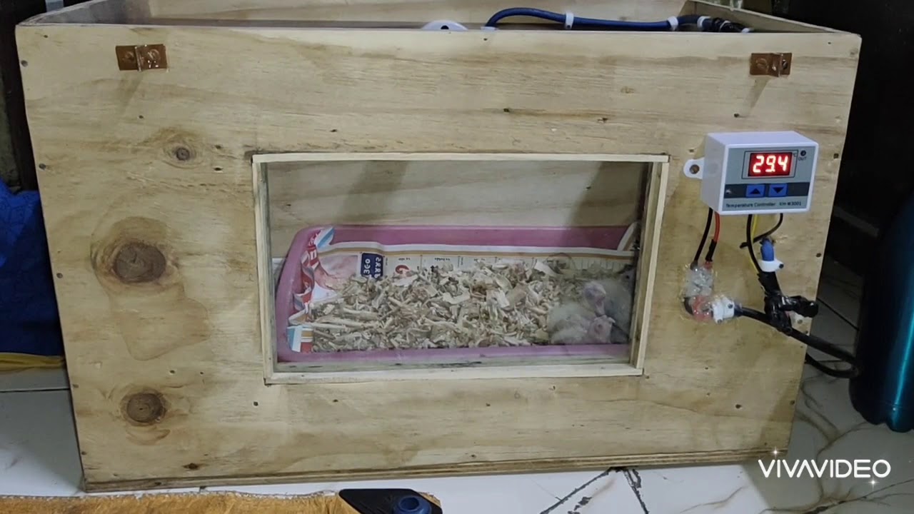 Home made brooder
