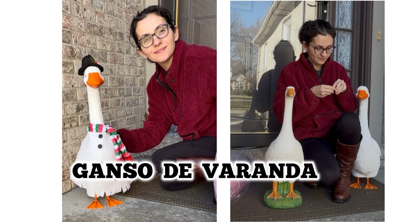 Vem arrumar meus gansos comigo? 