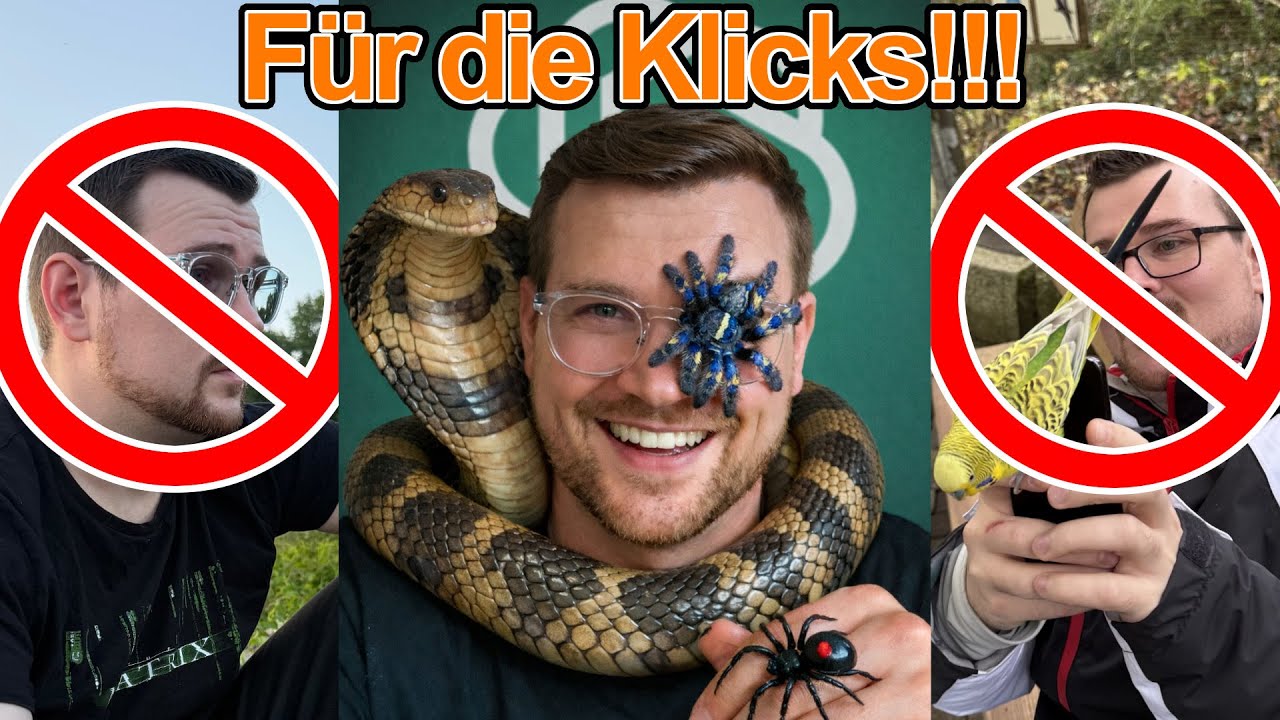 Alles für die Klicks!