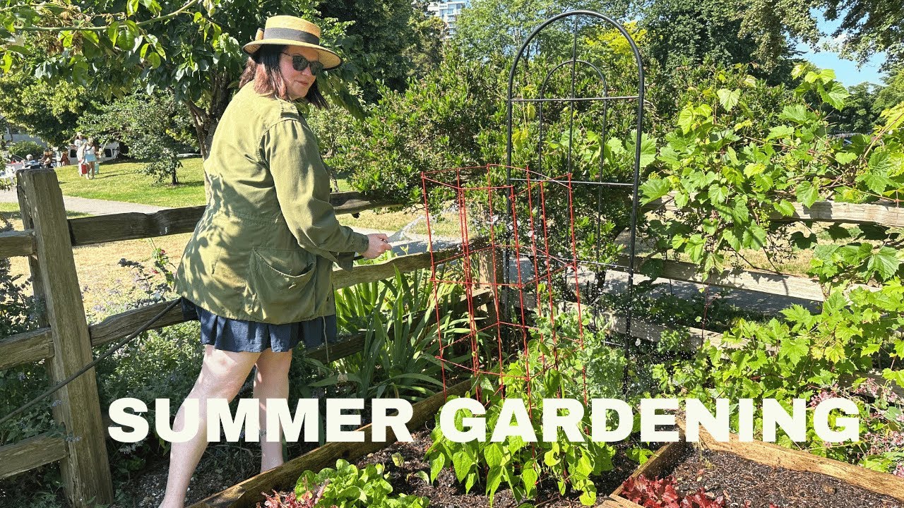 Summer in Vancouver - Garden Plot Update 🌻👩‍🌾🫛