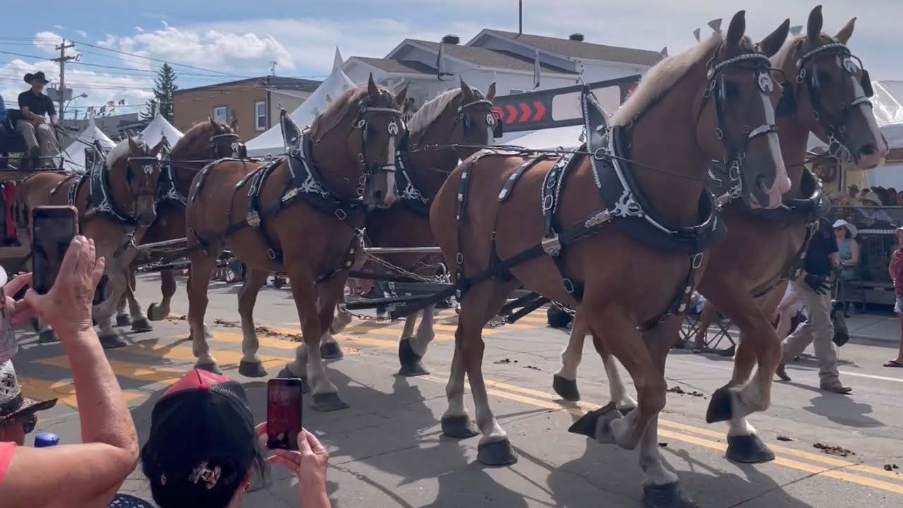 Parade De chevaux Festival Western de Saint-Tite 2022
