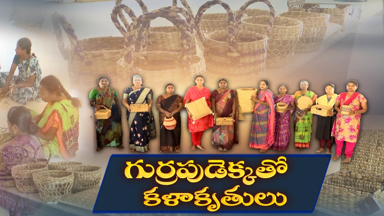 Turning Water Hyacinth Into Eco-Friendly Products | Krishna District Women Lead the Way