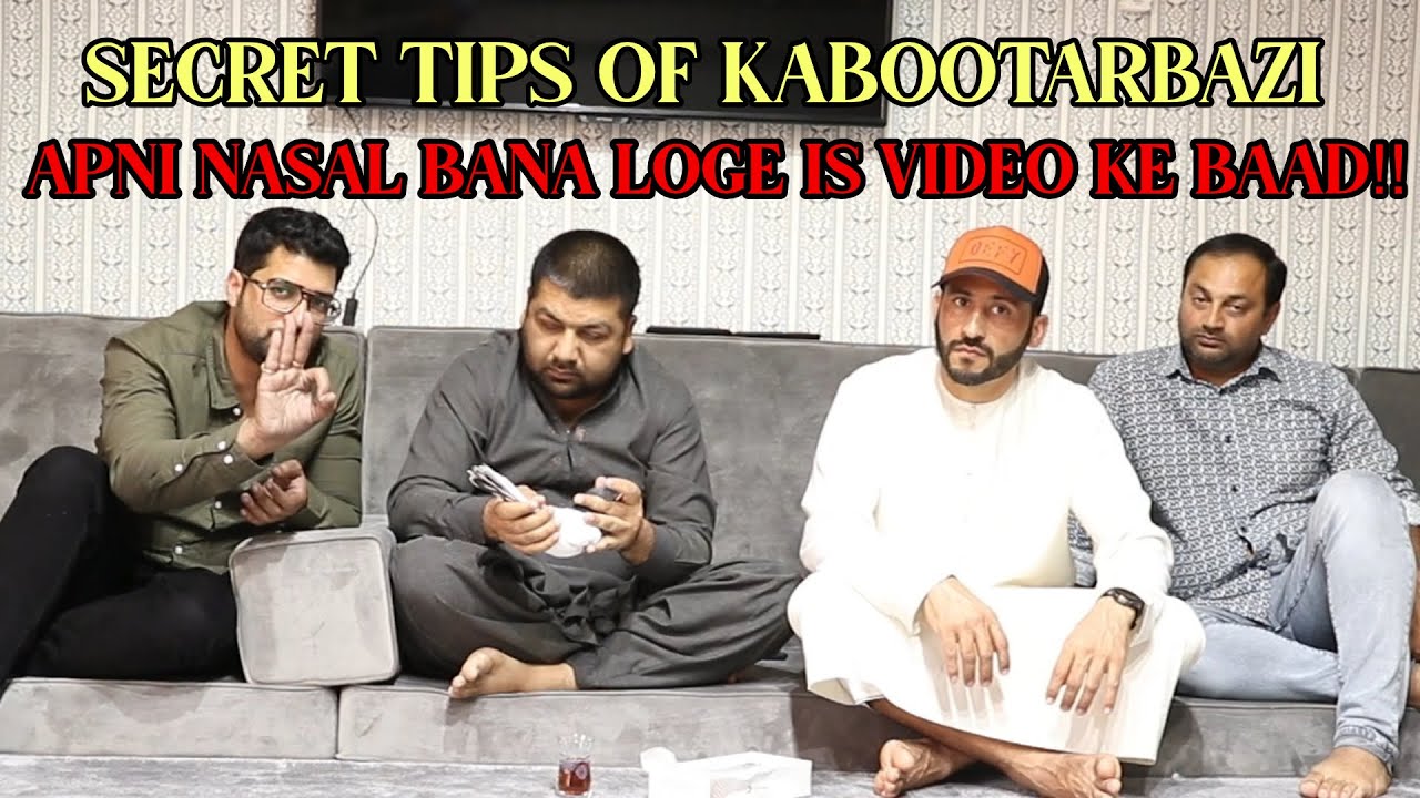KABOOTARBAZI TIPS BY USTAD BABA SIKANDER || PROFESSIONAL KABOOTARBAZI IN UAE ||