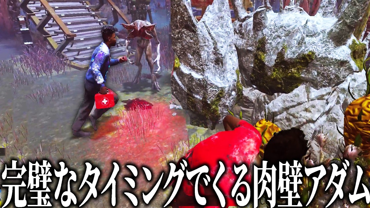 【DBD】アダムが毎回完璧なタイミングで肉壁しに来るヤバい試合