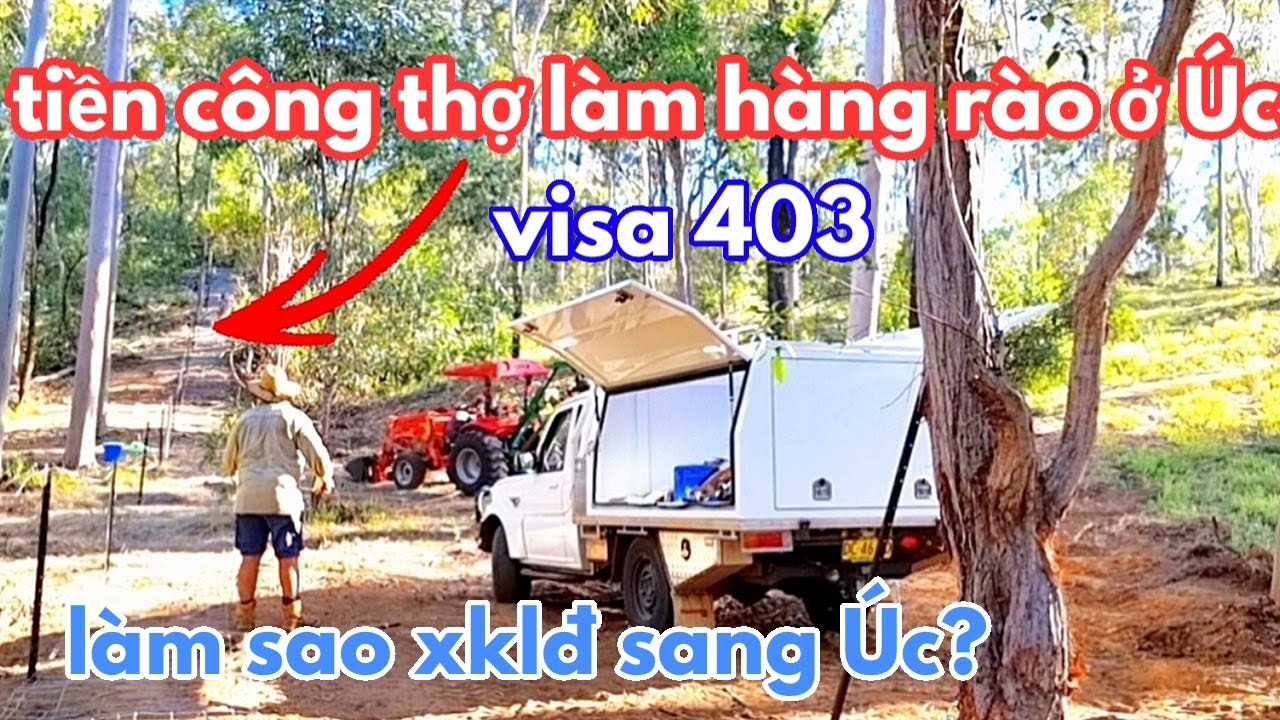 Công việc kiếm 40 triệu/ tuần từ việc làm hàng rào ở Úc | Visa 403 | Xklđ Úc