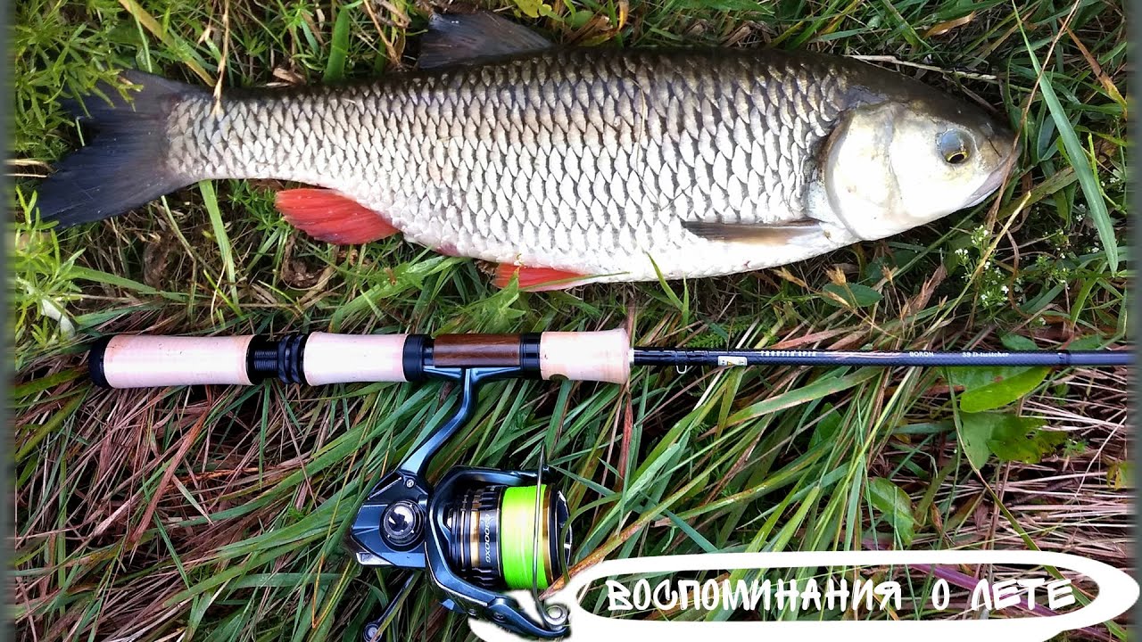 Обзор Smith Troutin' Spin Lag Less Boron TLB-59DT на голавлёвой рыбалке.
