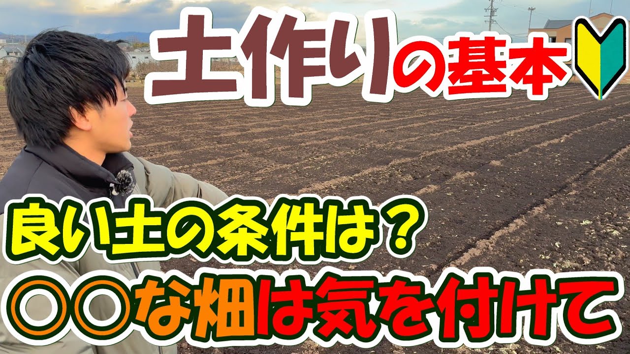 【家庭菜園】初心者の方必見！土が良くないと野菜が育たない？良い土の条件と畑作りのポイントを紹介します